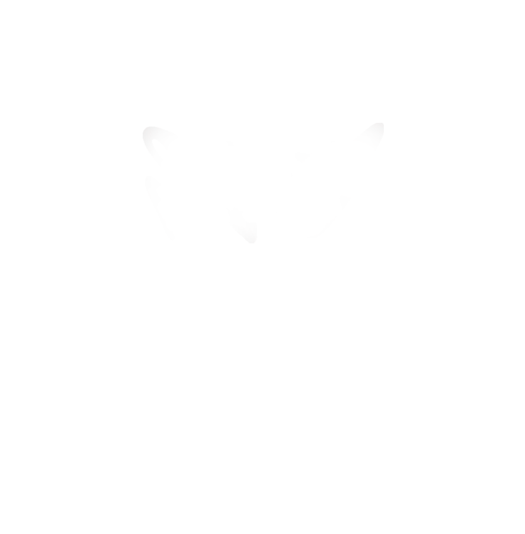 BASIC BOXY TEE