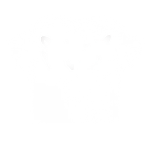 BASIC BOXY TEE